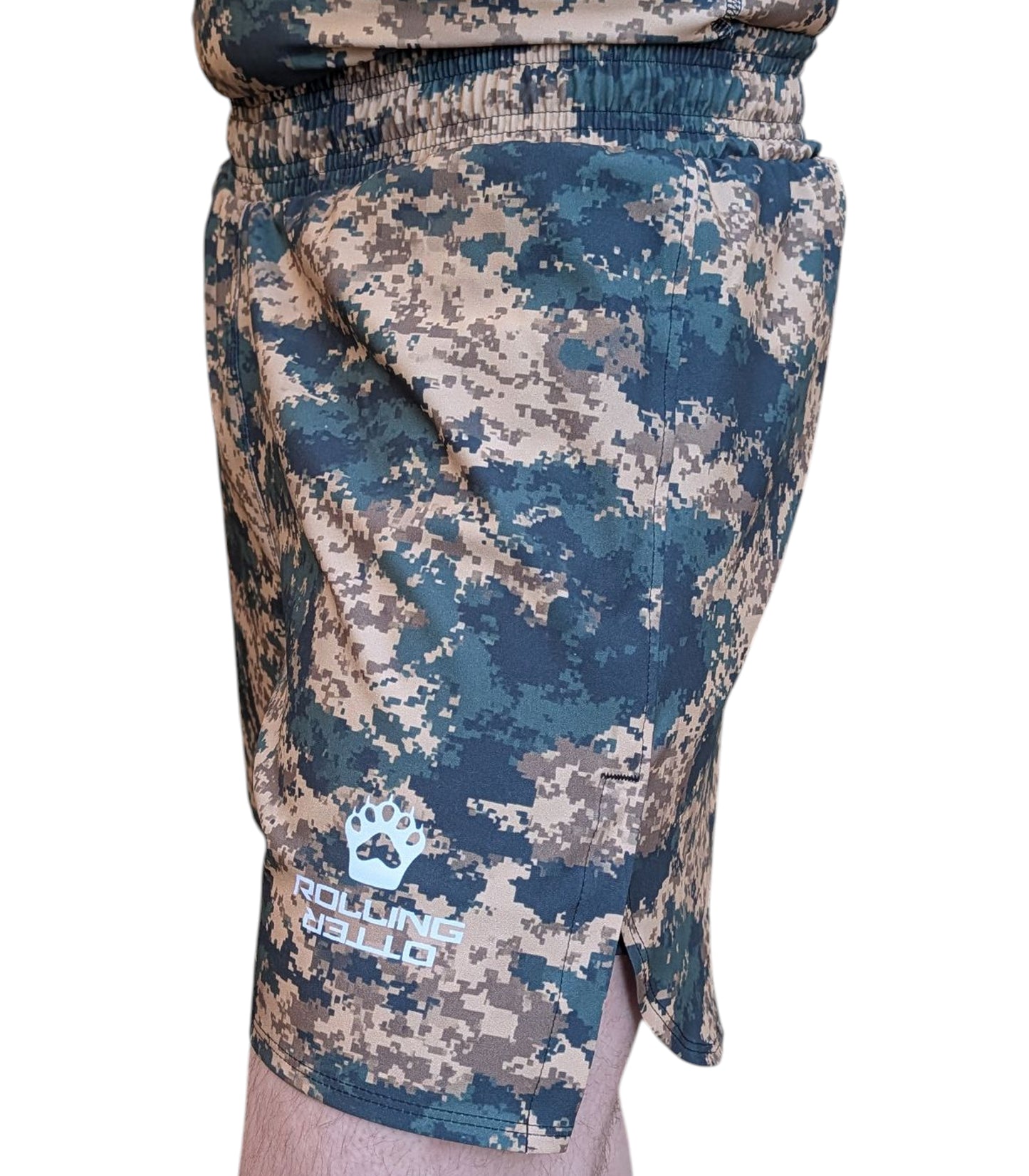 "Digicam" Fight Shorts