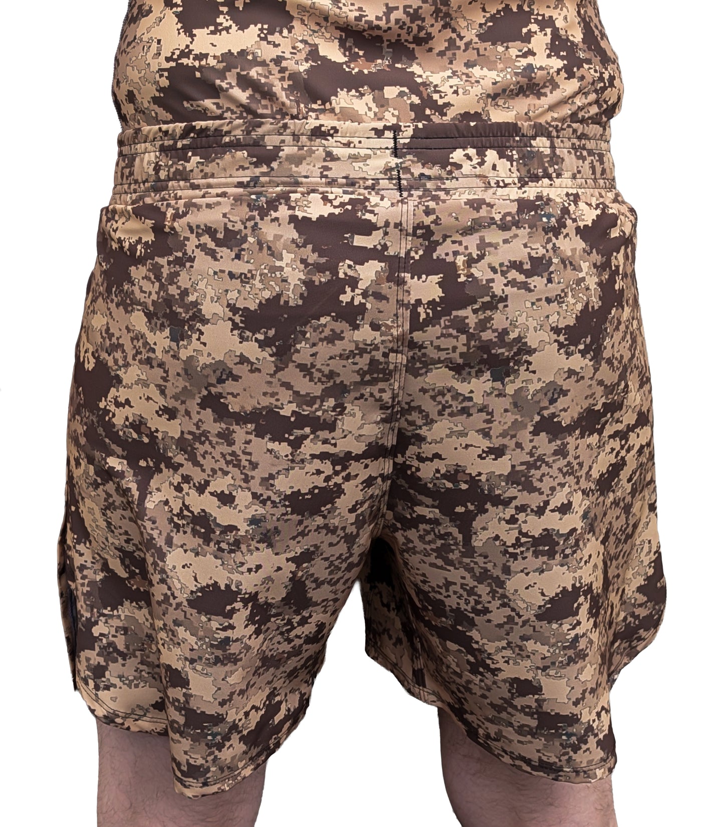 "Desert Digicam" Fight Shorts